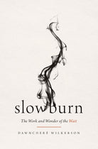 Cover image for Slow Burn, isbn: 9781400345519
