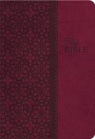 Cover image for Study Bible-KJV, isbn: 9781401680336
