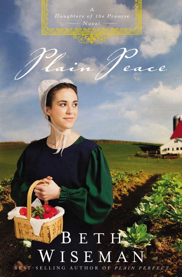 Cover image for Plain Peace, isbn: 9781401685942
