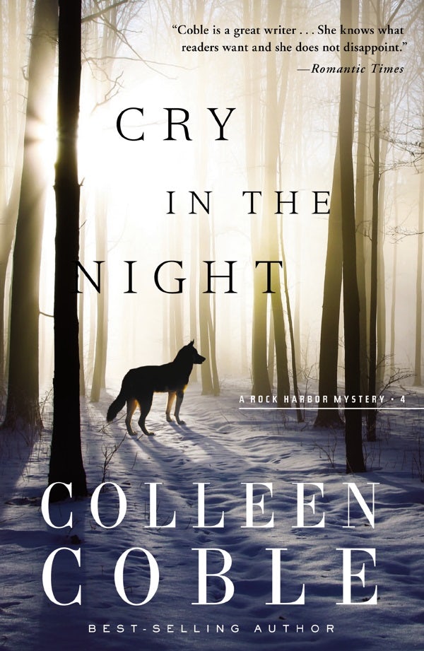 Cover image for Cry in the Night, isbn: 9781401688646