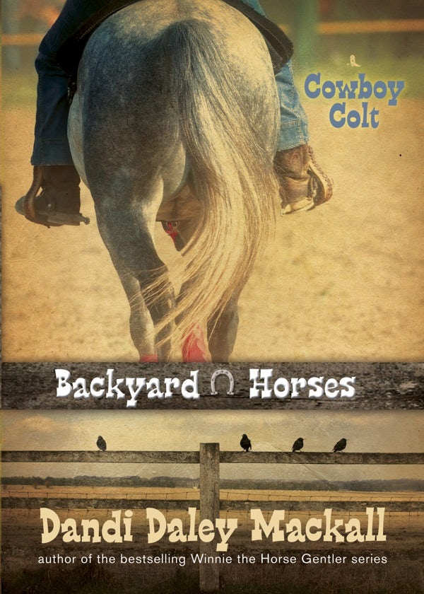 Cover image for Backyard Horses: Cowboy Colt, isbn: 9781414339177