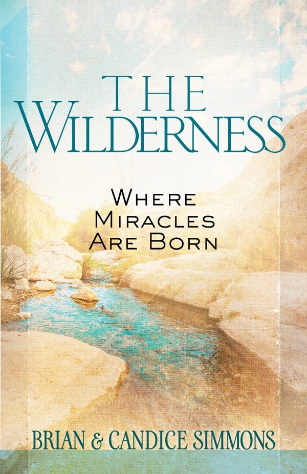 Cover image for The Wilderness, isbn: 9781424551798