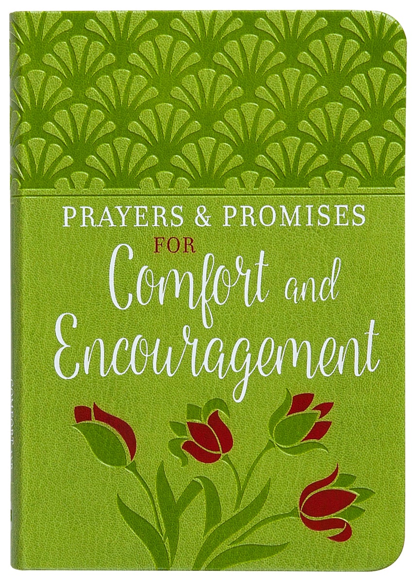 Cover image for Prayers & Promises for Comfort and Encouragement, isbn: 9781424559176