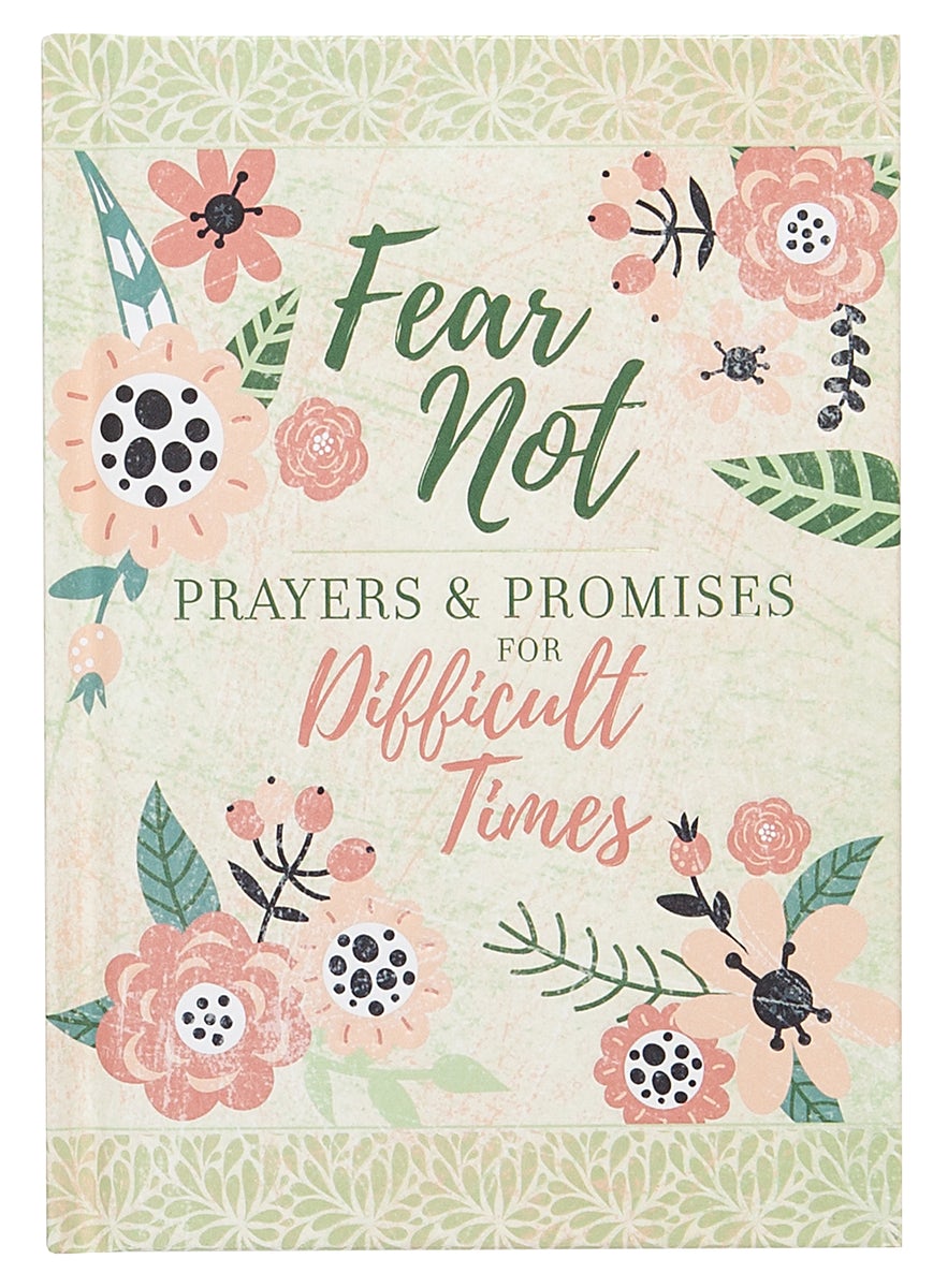 Cover image for Fear Not, isbn: 9781424561841