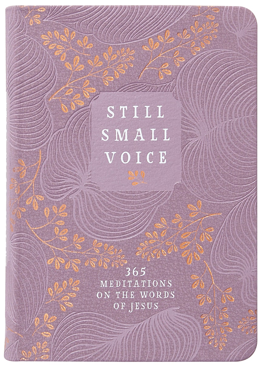 Cover image for Still Small Voice, isbn: 9781424565856