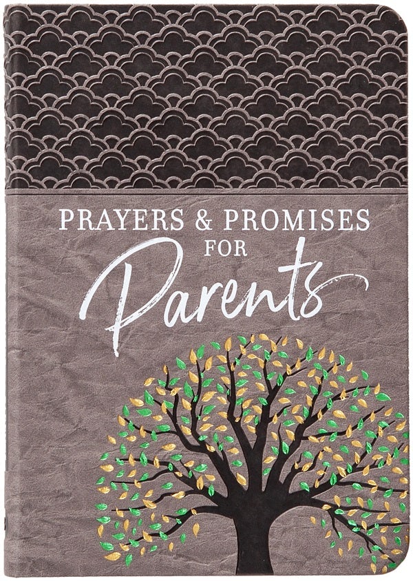 Cover image for Prayers & Promises for Parents, isbn: 9781424566662
