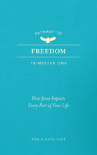 Cover image for Pathway to Freedom (Trimester One), isbn: 9781424570072