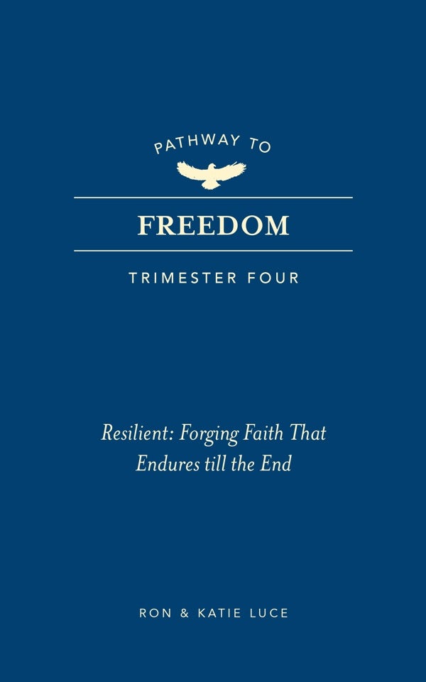 Cover image for Pathway to Freedom (Trimester Four), isbn: 9781424570133