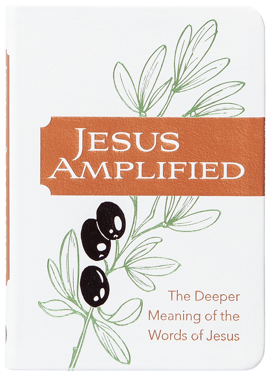 Cover image for Jesus Amplified, isbn: 9781424570607