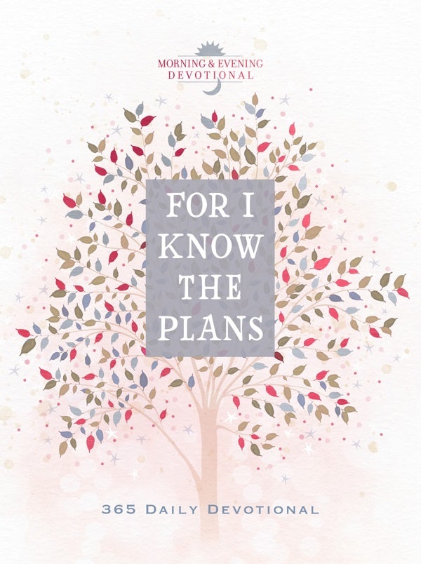 Cover image for For I Know the Plans, isbn: 9781424570874