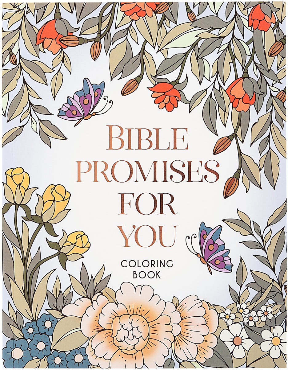 Cover image for Bible Promises for You, isbn: 9781424571079
