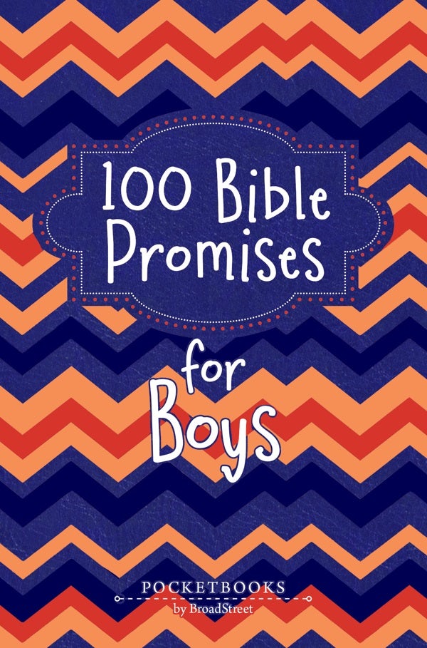 Cover image for 100 Bible Promises for Boys, isbn: 9781424571604