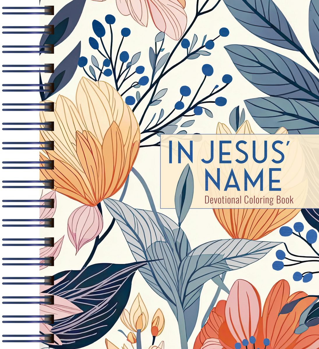 Cover image for In Jesus' Name, isbn: 9781424571680