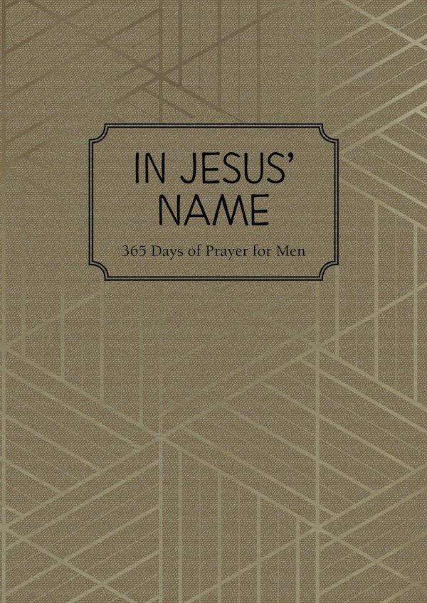 Cover image for In Jesus' Name, isbn: 9781424573219