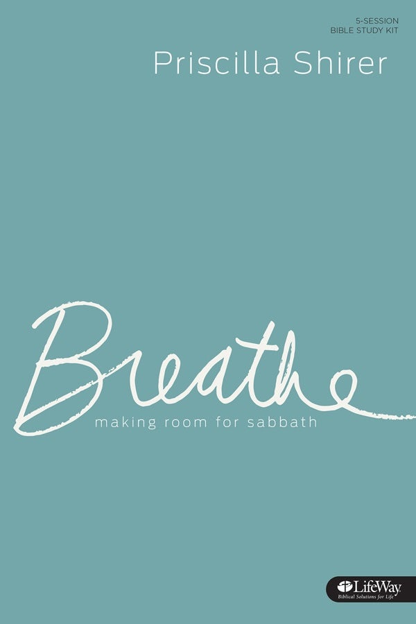 Cover image for Breathe - Bible Study Leader Kit, isbn: 9781430033455