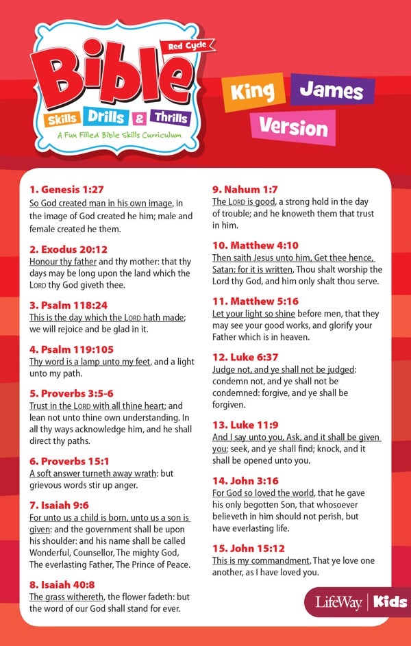 Cover image for Bible Skills, Drills, & Thrills: Red Cycle - KJV Verse Cards, isbn: 9781430035992