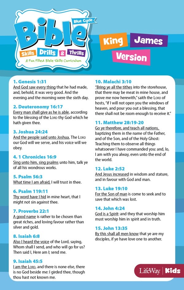 Cover image for Bible Skills, Drills, & Thrills: Blue Cycle - KJV Verse Cards, isbn: 9781430042594