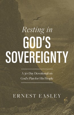 Cover image for Resting in God's Sovereignty, isbn: 9781430082033