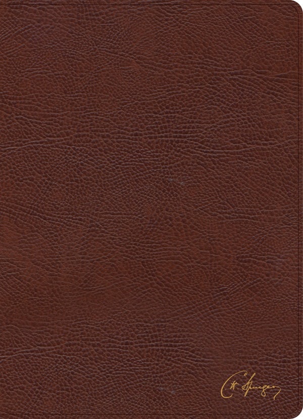 Cover image for KJV Spurgeon Study Bible, Brown Bonded Leather, isbn: 9781430082668