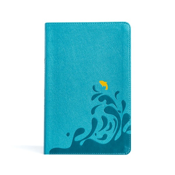 Cover image for CSB Easy-For-Me Bible for Early Readers, Aqua Blue Leathertouch, isbn: 9781430082743