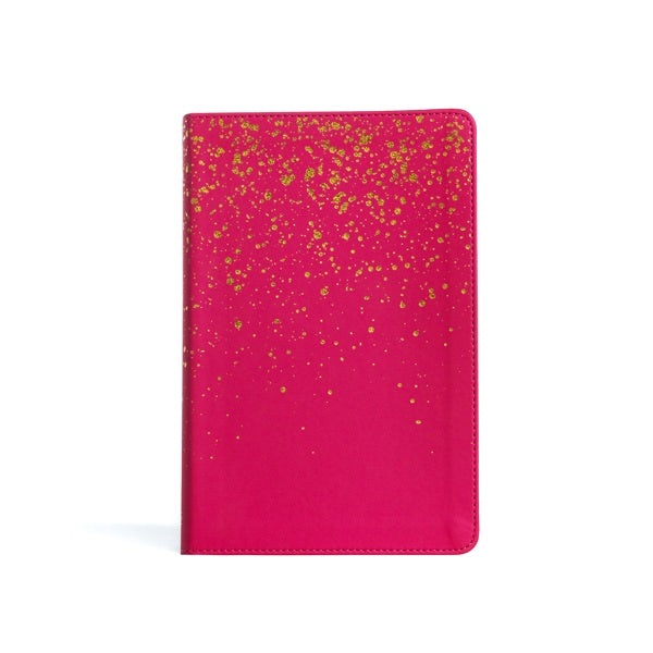 Cover image for KJV Kids Bible, Pink Leathertouch, isbn: 9781430082750