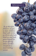 Cover image for Communion Bulletin: Followers (Package of 100), isbn: 9781430084228