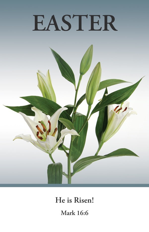 Cover image for Easter Bulletin: He Is Risen (Package of 100), isbn: 9781430084280