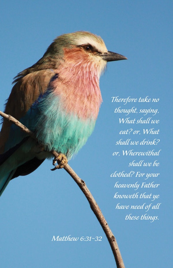 Cover image for General Worship Bulletin: Your Heavenly Father Knoweth (Package of 100), isbn: 9781430084549