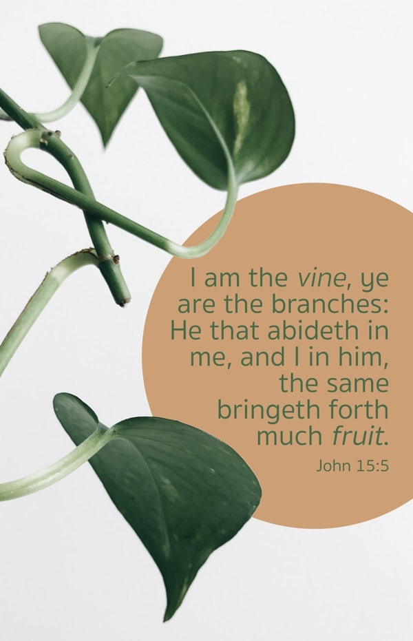 Cover image for General Worship Bulletin: Much Fruit (Package of 100), isbn: 9781430084723
