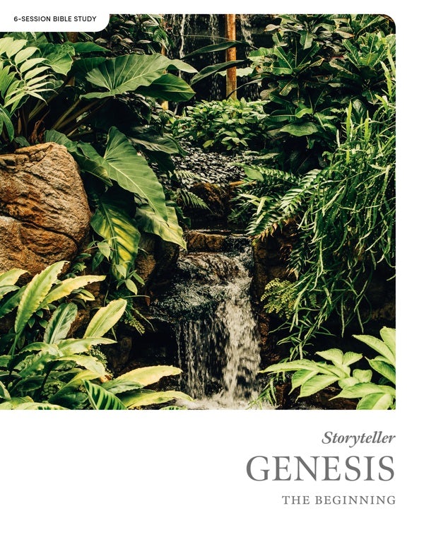 Cover image for Genesis - Storyteller - Bible Study Book, isbn: 9781430084860