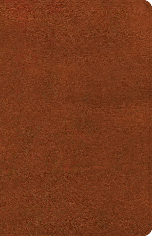 Cover image for NASB Large Print Thinline Bible, Burnt Sienna Leathertouch, isbn: 9781430086024