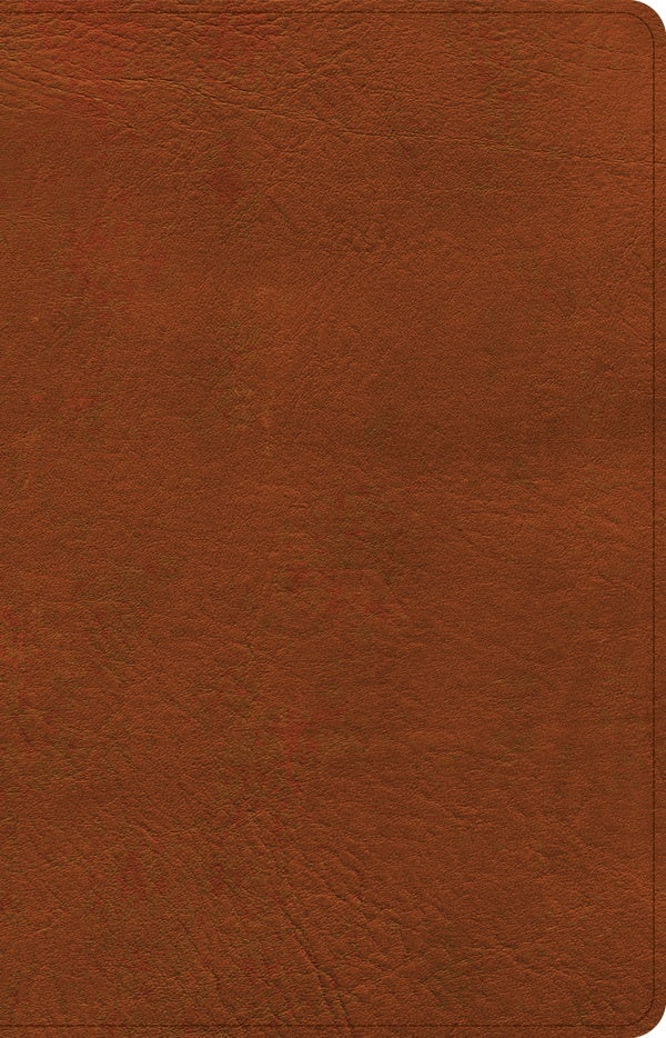 Cover image for NASB Large Print Thinline Bible, Burnt Sienna Leathertouch, isbn: 9781430086024