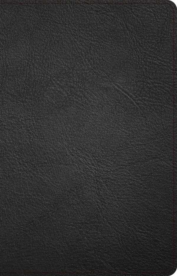 Cover image for NASB Large Print Thinline Bible, Holman Handcrafted Collection, Black Premium Goatskin, isbn: 9781430086031