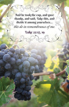 Cover image for Communion Bulletin: And He Took (Package of 100), isbn: 9781430092223
