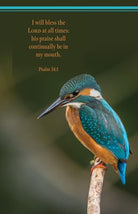 Cover image for General Worship Bulletin: At All Times (Package of 100), isbn: 9781430092452