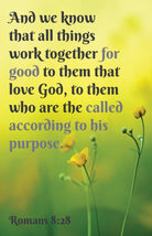 Cover image for General Worship Bulletin: All Things (Package of 100), isbn: 9781430092506