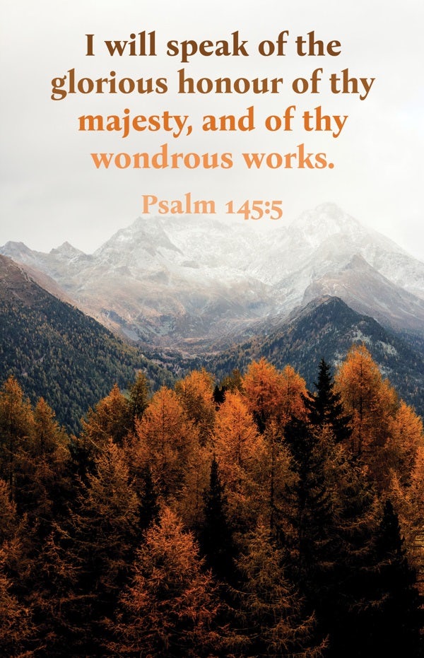 Cover image for General Worship Bulletin: Glorious (Package of 100), isbn: 9781430092513