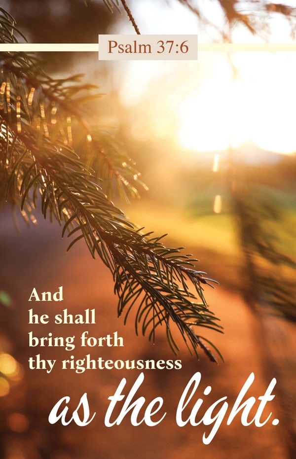 Cover image for General Worship Bulletin: As the Light (Package of 100), isbn: 9781430092520