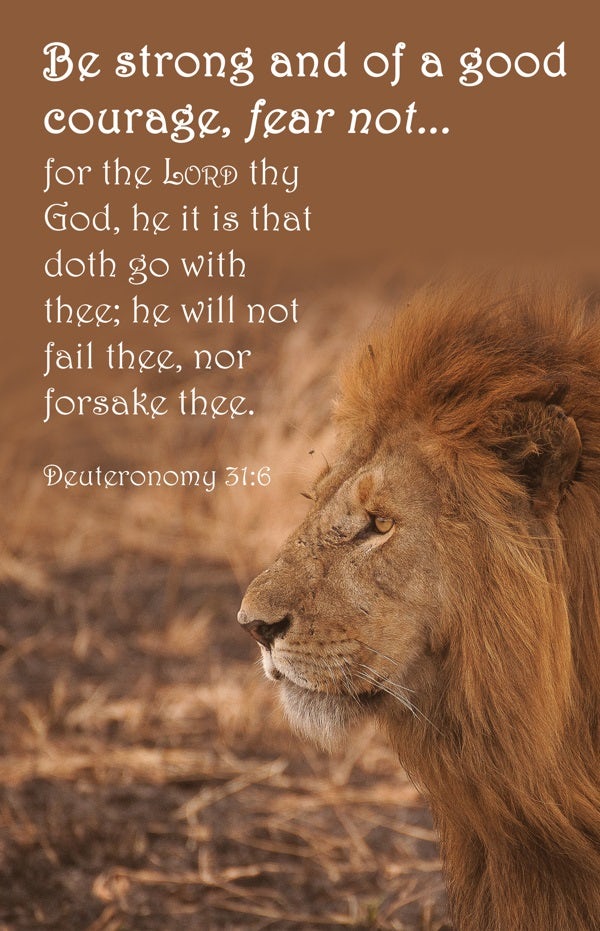 Cover image for General Worship Bulletin: Good Courage (Package of 100), isbn: 9781430092544