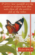 Cover image for General Worship Bulletin: How Manifold (Package of 100), isbn: 9781430092568