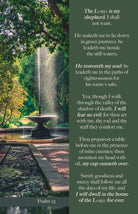 Cover image for Funeral Bulletin: And Mercy (Package of 100), isbn: 9781430092582