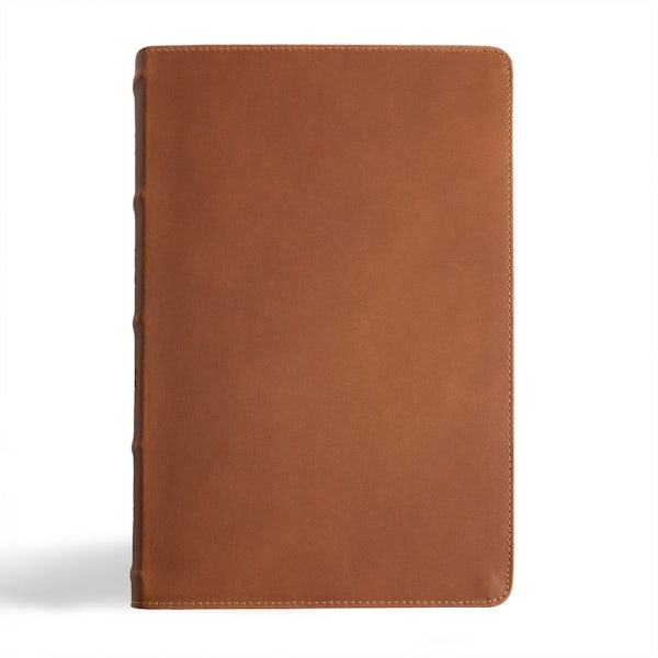 Cover image for CSB Men's Daily Bible, Brown Genuine Leather, Indexed, isbn: 9781430094111