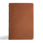 Cover image for CSB Men's Daily Bible, Brown Genuine Leather, Indexed, isbn: 9781430094111