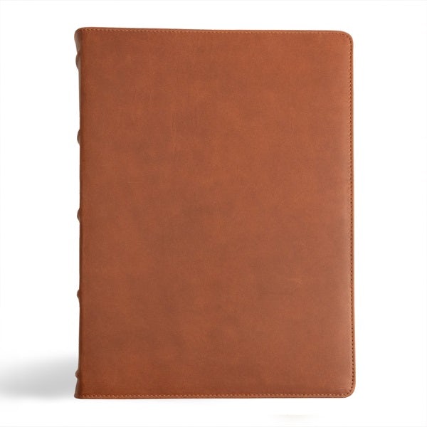 Cover image for CSB Verse-By-Verse Reference Bible, Holman Handcrafted Collection, Marbled Tan Premium Calfskin, isbn: 9781430094555