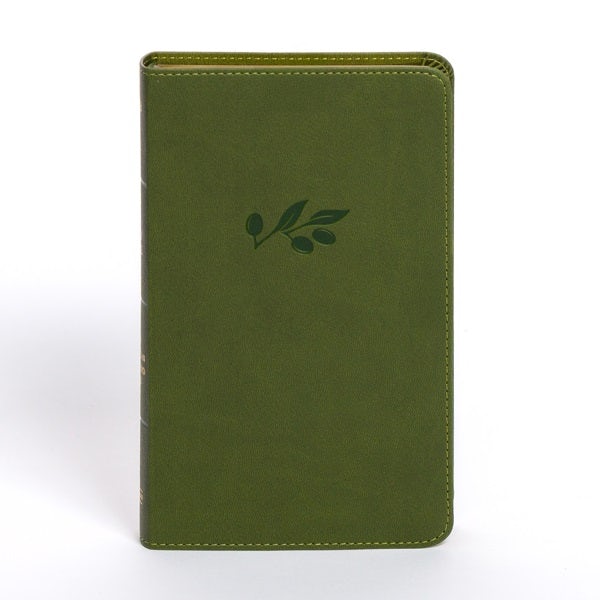 Cover image for NASB Personal Size Bible, Olive Leathertouch, isbn: 9781430094814