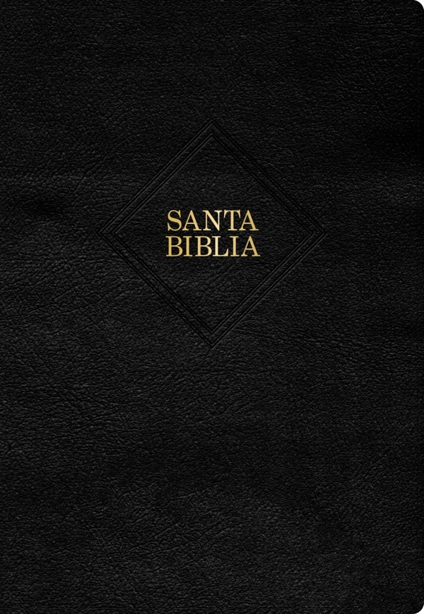 Cover image for Rvr 1960 Biblia Letra Supergigante, Negro Piel Fabricada Con Índice (Edición 2023), isbn: 9781430095323