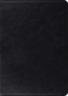 Cover image for Study Bible-ESV, isbn: 9781433502446