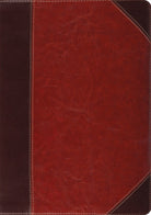 Cover image for Study Bible-ESV-Portfolio Design, isbn: 9781433503795
