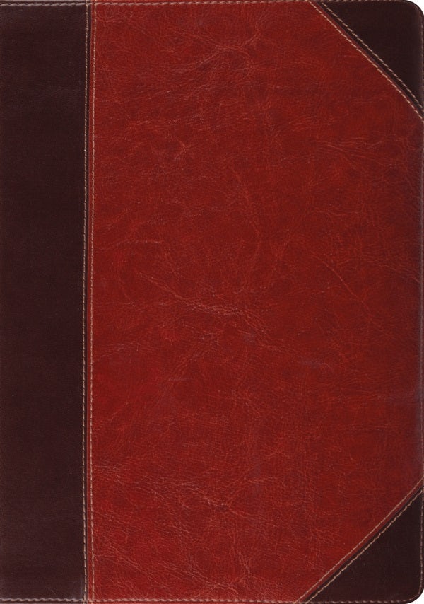 Cover image for Study Bible-ESV-Portfolio Design, isbn: 9781433503795