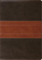 Cover image for Study Bible-ESV-Trail Design, isbn: 9781433503931